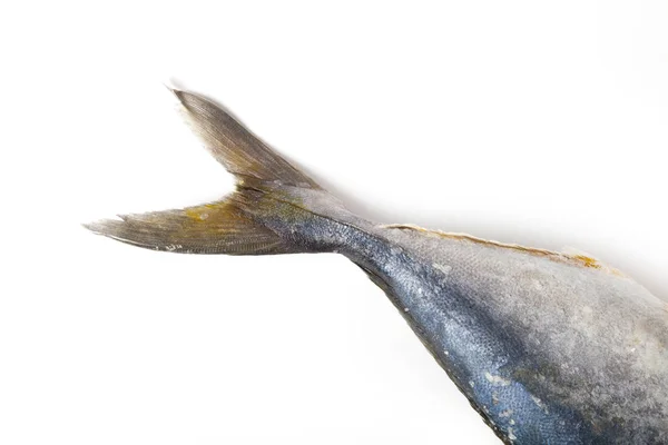 Balık kuyruğu beyaz zemin üzerine — Stok fotoğraf