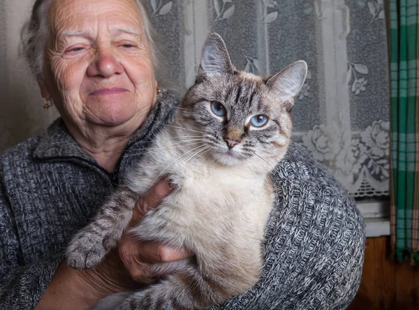 Elderly woman with cat in rustic interior