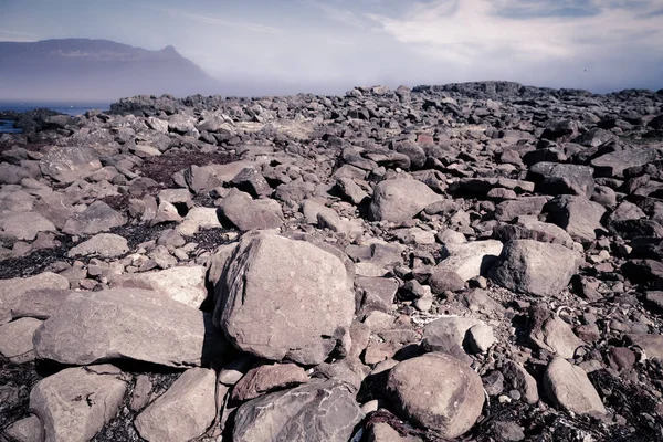 Stony coast of the fjord in the east of Iceland. Toned — Stock Photo, Image