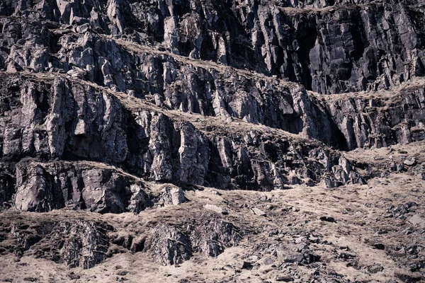 Taşlı tepenin doğu İzlanda'daki Fiyordu kıyısında. Tonda — Stok fotoğraf