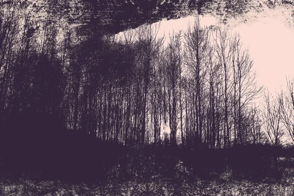 森の冬。ファンタジーアート コルの写真の処理 — ストック写真