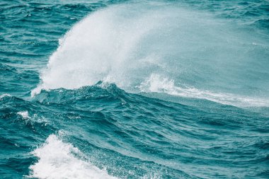 Beyaz sorguç dalga deniz. Seçici odak. Sığ derinliği bes