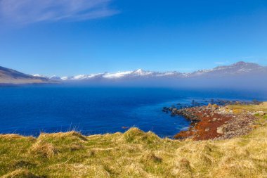 Taşlı kıyısında fiyort İzlanda'nın doğuda, çimen
