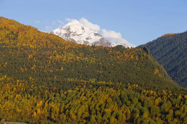 Forêt colorée dans un beau paysage d'automne avec montagne enneigée — Photo