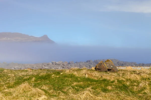 Gras op de steenachtige kust van de fjord in het oosten van IJsland — Stockfoto