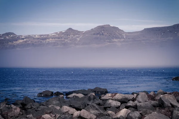 Costa pedregosa del fiordo en el este de Islandia. Tonificado — Foto de Stock