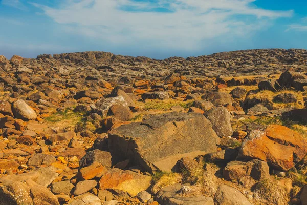 Taşlı fiyort İzlanda'nın doğu kıyısında. Tonda