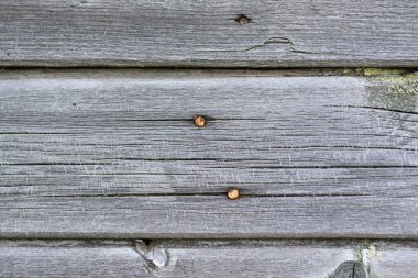 Arka plan soyulması boya ile eski ahşap plakalar tarihlerde