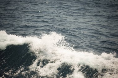 Beyaz sorguç dalga deniz. Seçici odak. Sığ derinliği bes