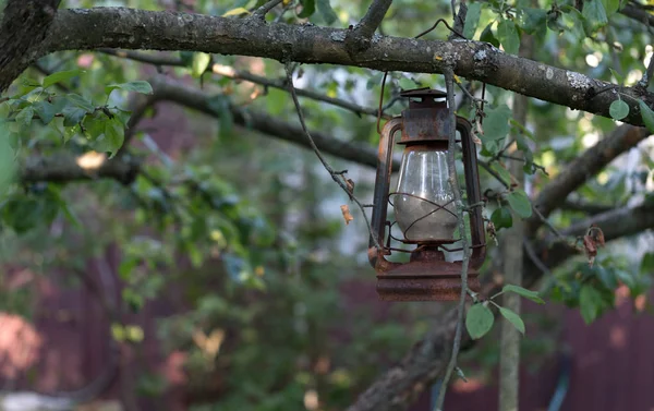 Old lamp on a branch of apple tree in a garden. Shallow depth of