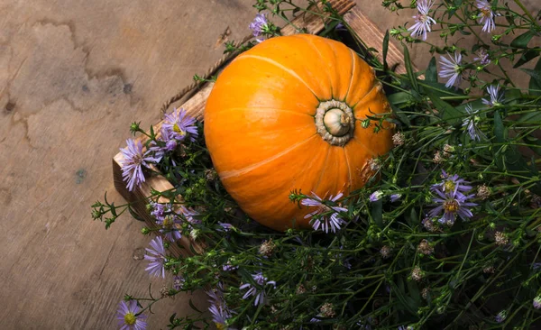 Fresh vegetables and herbs on a wooden burned rustic texture for — Stock Photo, Image