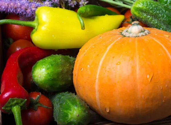 Fresh vegetables and herbs for natural background — Stock Photo, Image