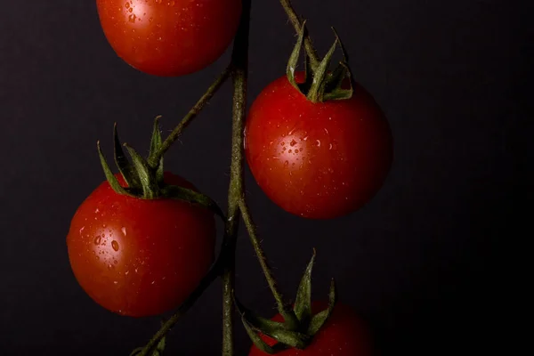 Manojo de tomates cherry frescos sobre un fondo negro — Foto de Stock