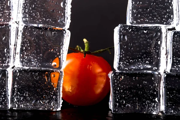 Свіжі помідори та мокрі кубики льоду на чорному тлі. Вибірковий fo — стокове фото