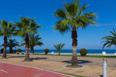 Batum Gürcistan'daki spor ve yürüyüş için güzel dolgu
