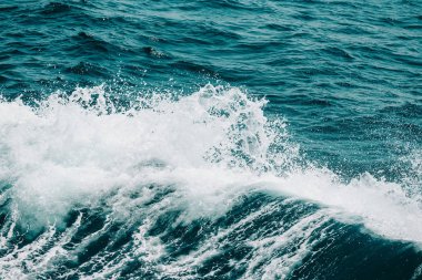 Beyaz sorguç dalga deniz. Seçici odak. Sığ derinliği bes