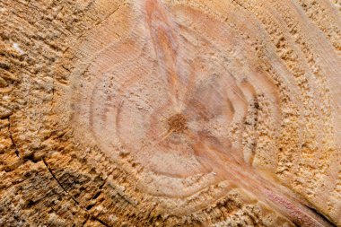 Eski ahşap tahta veya ağaç arka plan için. Metin için yer