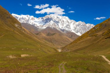 Svanlar karlı dağlarda, renkli güzel sonbahar yatay