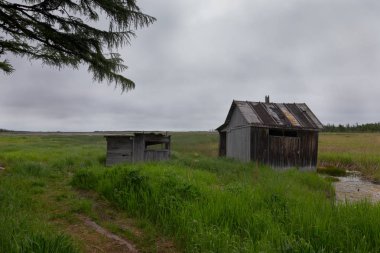 Sakhalin Adası yaz peyzaj