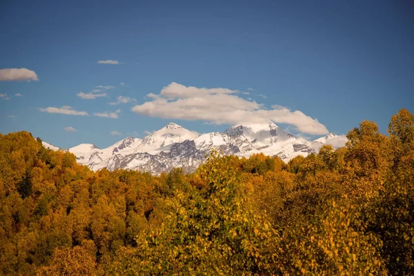 Svaneti güzel bir sonbahar manzara renkli ormanda. Geor — Stok fotoğraf
