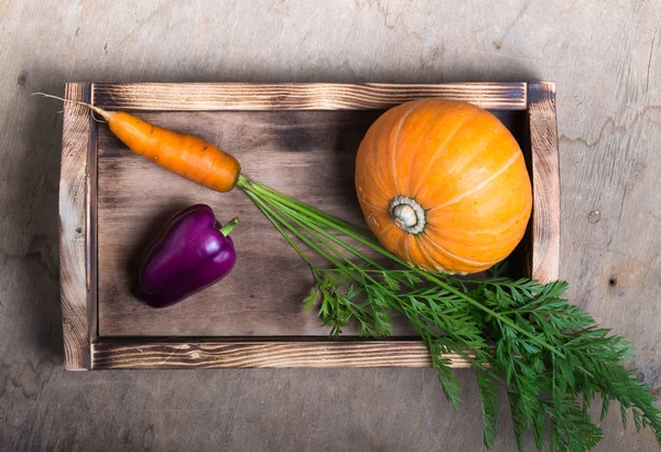 Fresh vegetables and herbs on a wooden burned rustic texture for — Stock Photo, Image