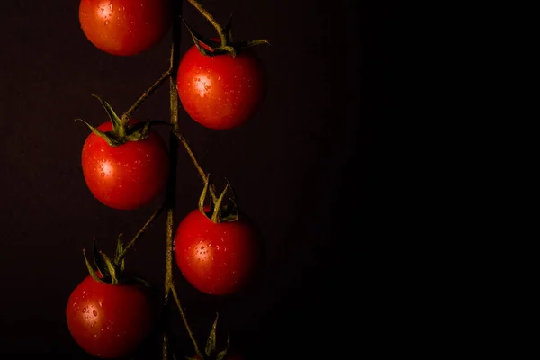 Bir grup siyah bir zemin üzerine taze kiraz domates. Tonda — Stok fotoğraf