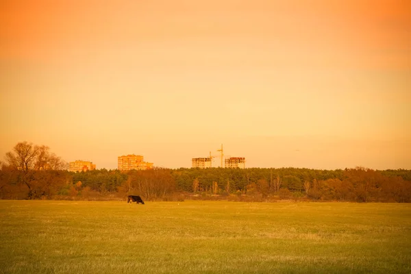 Moderne builty huizen op een herfst landschap. Toned — Stockfoto