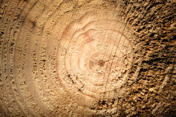 Vecchia tavola di legno o albero per sfondo. Spazio per il testo. Tonica — Foto Stock