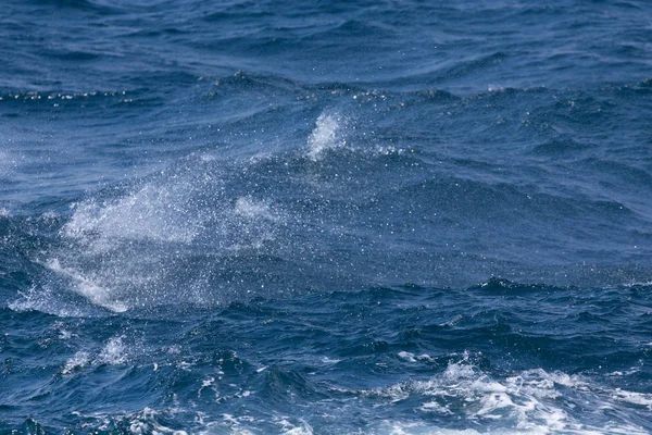 Cresta bianca di un'onda marina. Concentrazione selettiva. Profondità superficiale di fie — Foto Stock