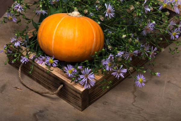 Fresh vegetables and herbs on a wooden burned rustic texture for — Stock Photo, Image