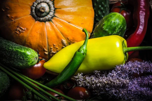 Fresh vegetables and herbs for natural background. Toned — Stock Photo, Image