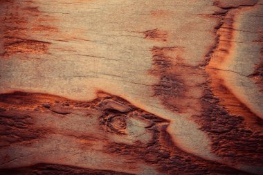 Sert ahşap tahta yıpranmış. Rustik doku arka plan için. Ton