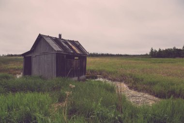 Yaz peyzaj Sakhalin Adası. Tonda