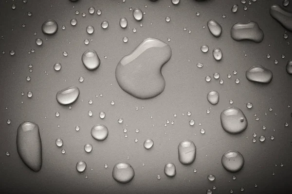 Wassertropfen auf einem farbigen Hintergrund. Grau. gemildert — Stockfoto