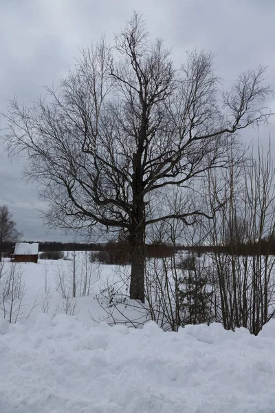 Paesaggio provinciale russo invernale — Foto Stock