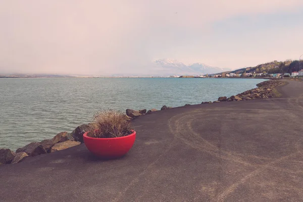 Landschaft der Lagune von akureyri Stadt in Island. gemildert — Stockfoto