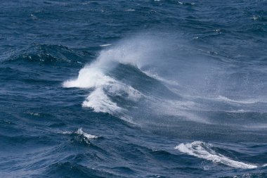 İzlanda'nın güneyinde fırtınalı soğuk deniz dalgaları