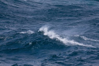 İzlanda'nın güneyinde fırtınalı soğuk deniz dalgaları