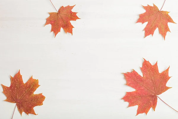 Samenstelling van heldere herfstbladeren op een lichte achtergrond — Stockfoto