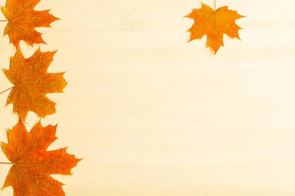 Composition of bright autumn leaves on a light background. Toned — Stock Photo, Image