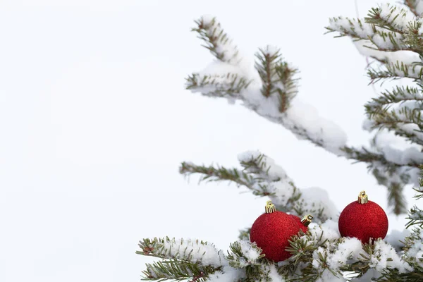 Bolas brilhantes em uns galhos de árvore cristmas em uma neve pura limpa fo — Fotografia de Stock