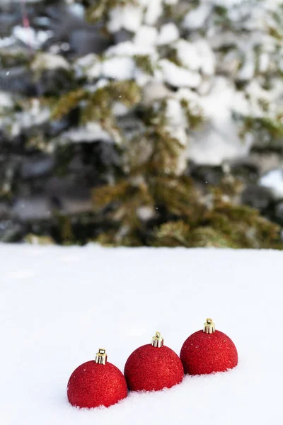 Cristmas tree branches and bright balls on a clean pure snow for — Stock Photo, Image