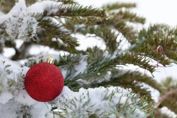 Jasne kulki na cristmas drzewa gałęzie na czystym czystym śniegu fo — Zdjęcie stockowe