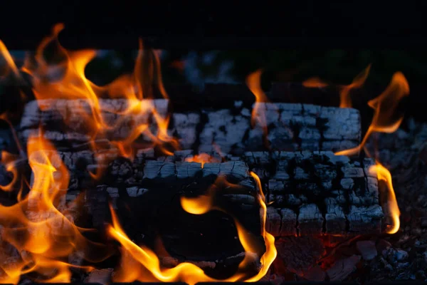 La quema de troncos de madera, cocinar en el fuego, noche cálida, brilla en th — Foto de Stock