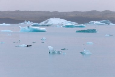 İzlanda 'nın güneyinde buzdağı gölü Jokulsarlon