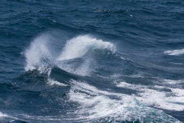 İzlanda'nın güneyinde fırtınalı soğuk deniz dalgaları