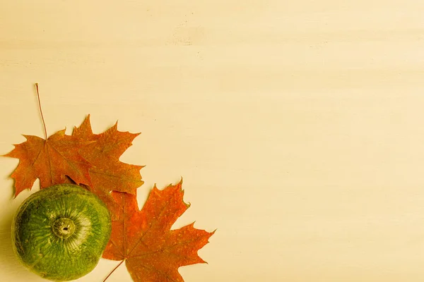 Samenstelling van heldere herfstbladeren en groenten op een lichte ba — Stockfoto