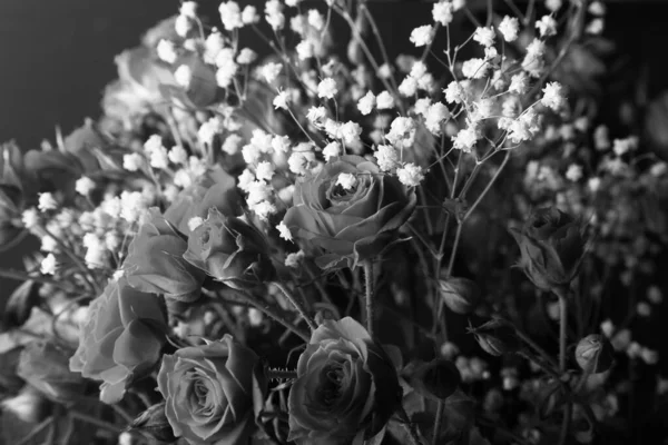Wspaniały bukiet krzewów róż i gipsówki na ciemnym backgro — Zdjęcie stockowe
