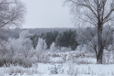 Güzel kış manzara Rus ili