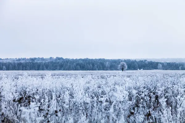 Bela paisagem de inverno na província russa. Tonificado — Fotografia de Stock